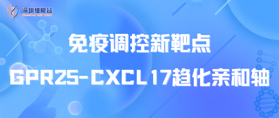 免疫调控新靶点：GPR25-CXCL17趋化亲和轴