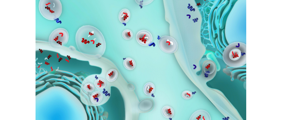 哪吒闹海！外泌体面纱大揭秘，我命由我不由天！