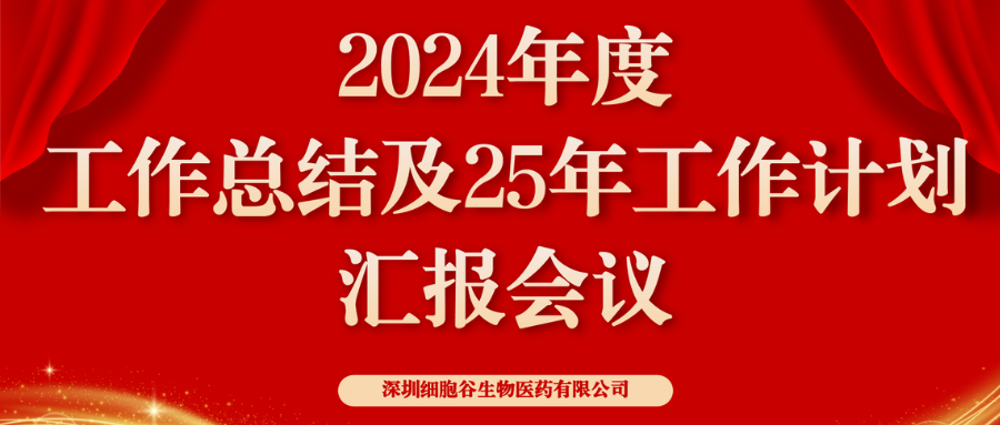 以初心致未来，共筑新辉煌 ——深圳凯发K82024年度管理层总结会顺利召开