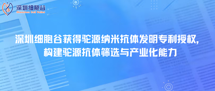 深圳凯发K8取得驼源纳米抗体发明专利授权，构建驼源抗体筛选与产业化能力