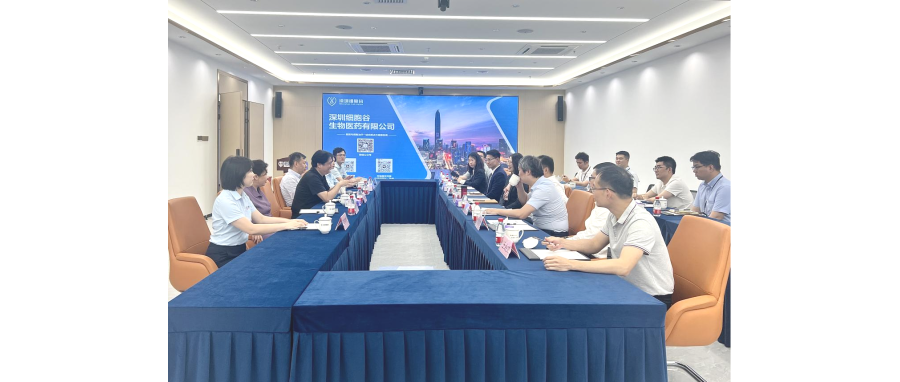 全球医药50强企业优时比（UCB）中国总部领导一行莅临深圳凯发K8参观调研