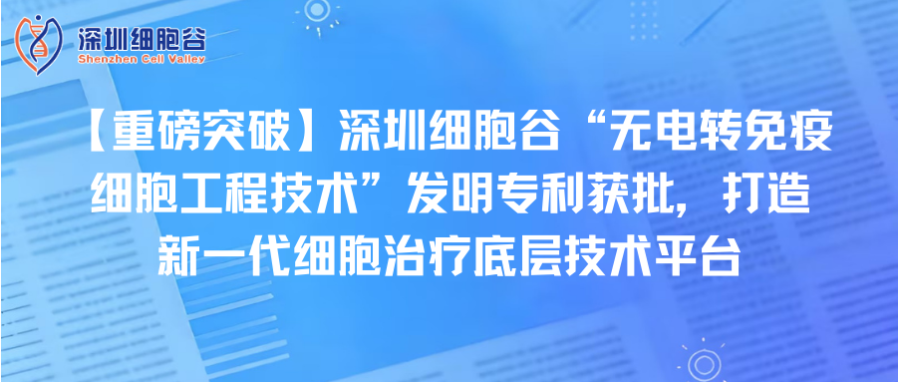 【重磅突破】深圳凯发K8“无电转免疫细胞工程技术”发明专利获批，打造新一代细胞治疗底层技术平台