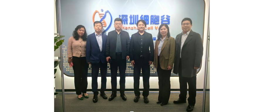 研讨合作｜河南科技大学第二附属医院院长邢建武、副院长王慧睿一行莅临深圳凯发K8研讨访问